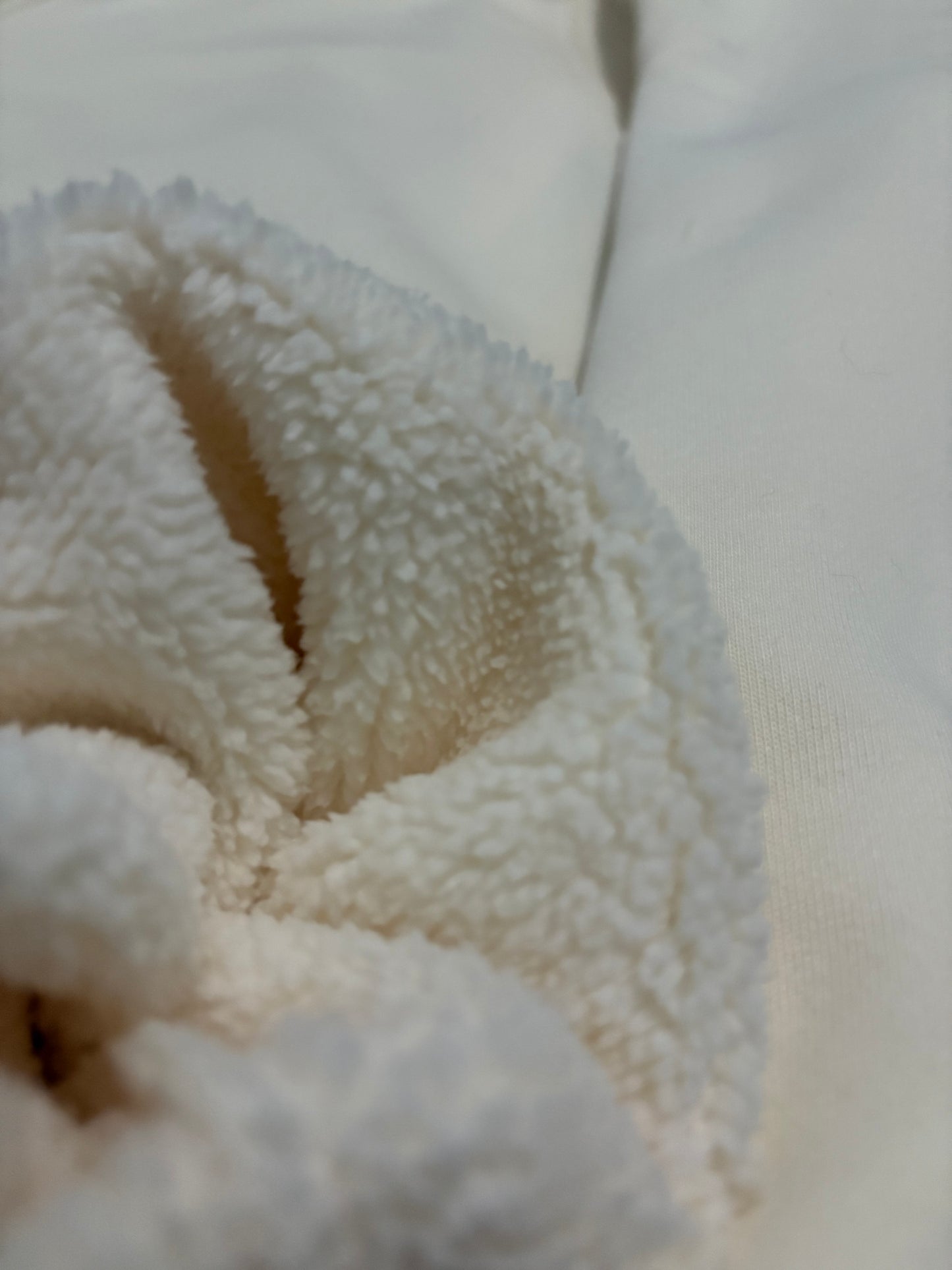 Premium Heavyweight Stitched Sweatshirt